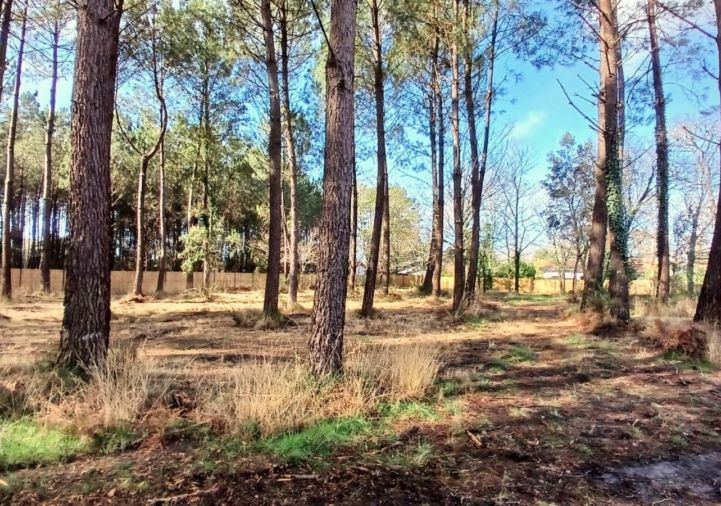 vente Terrain constructible Seignosse