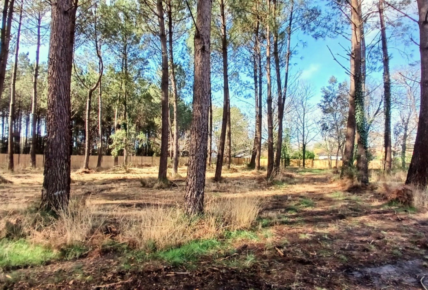 vente Terrain constructible Seignosse - Photo 2