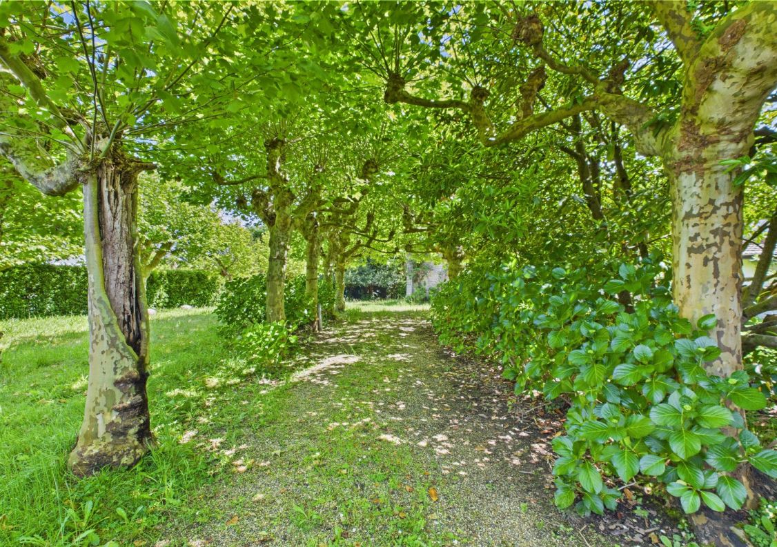 vente Propriété Anglet