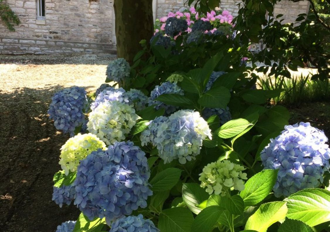 vente Propriété Anglet