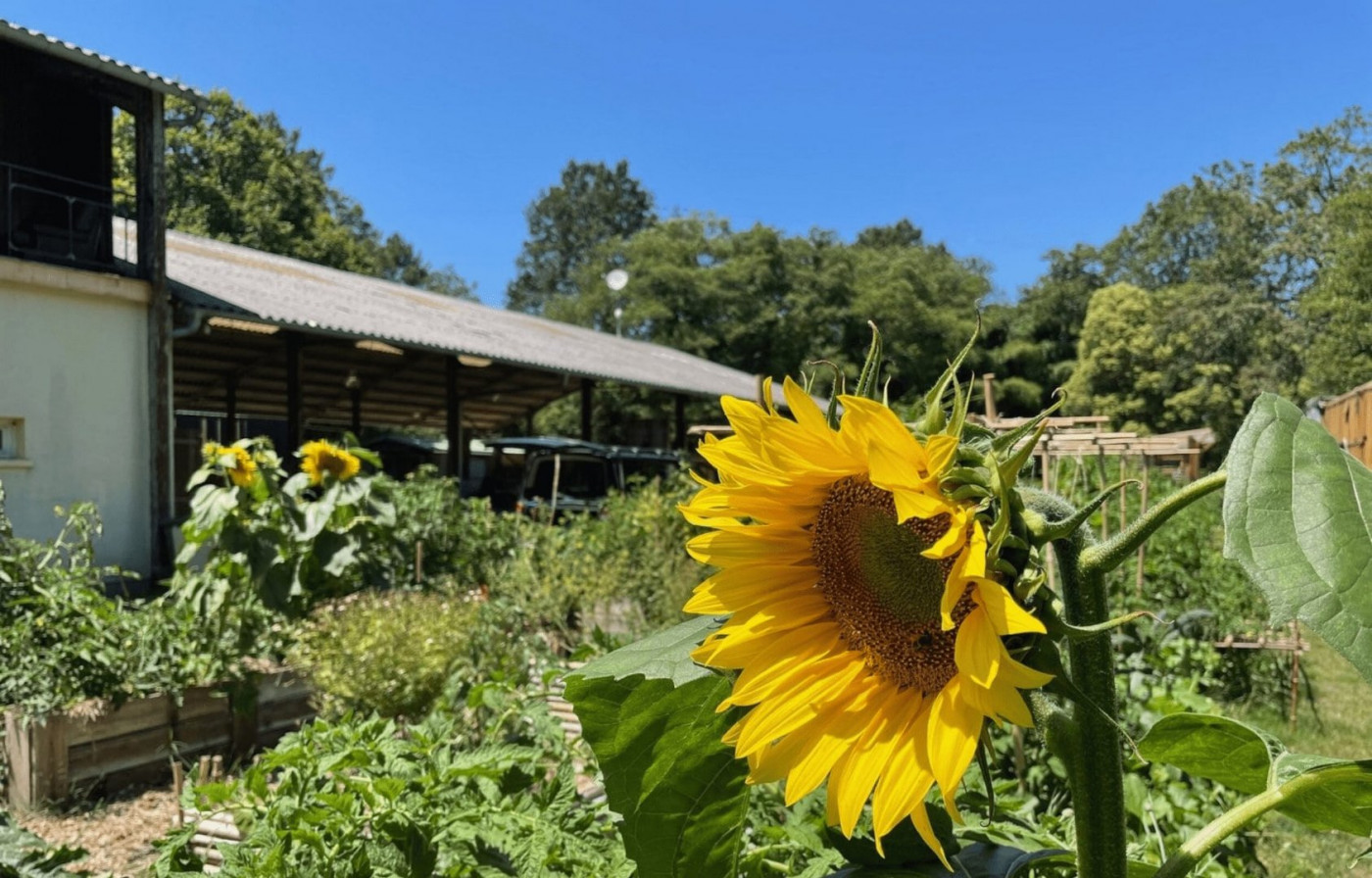 sale Maison Saint Michel Escalus - Photo 7