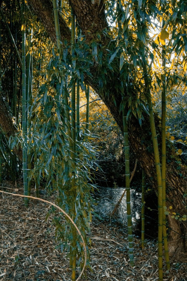 sale Maison Saint Michel Escalus - Photo 9