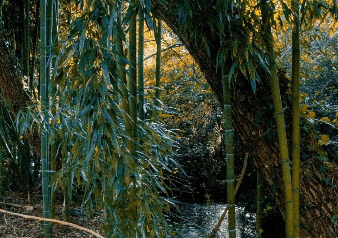 vente Maison Saint Michel Escalus