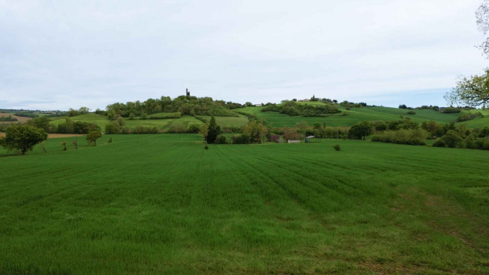 vente Ensemble immobilier Marciac - Photo 4