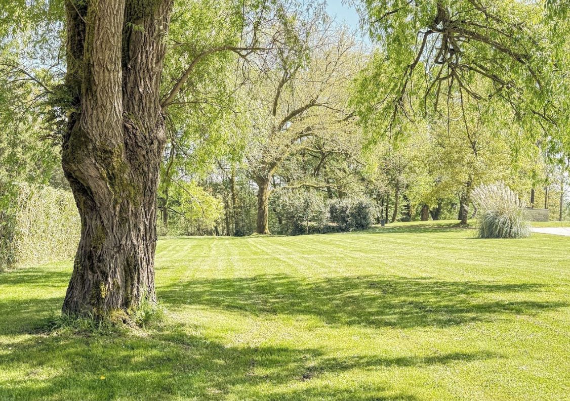 vente Propriété Soorts Hossegor