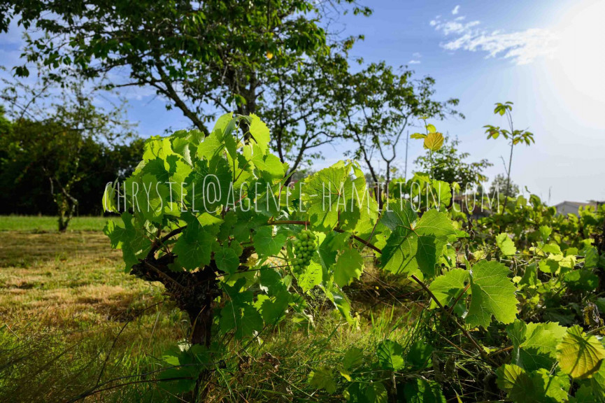 vente Terrain Port De Lanne - Photo 1