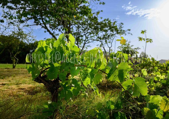 vente Terrain Port De Lanne