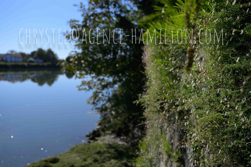 vente Maison Port De Lanne - Photo 3