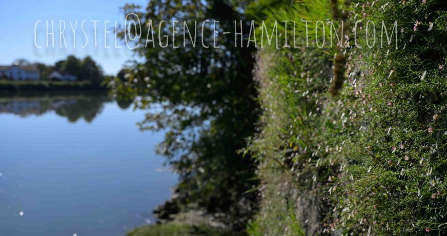 vente Maison Port De Lanne