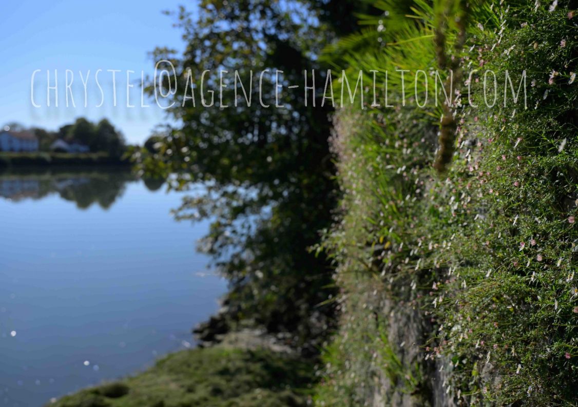 vente Maison Port De Lanne