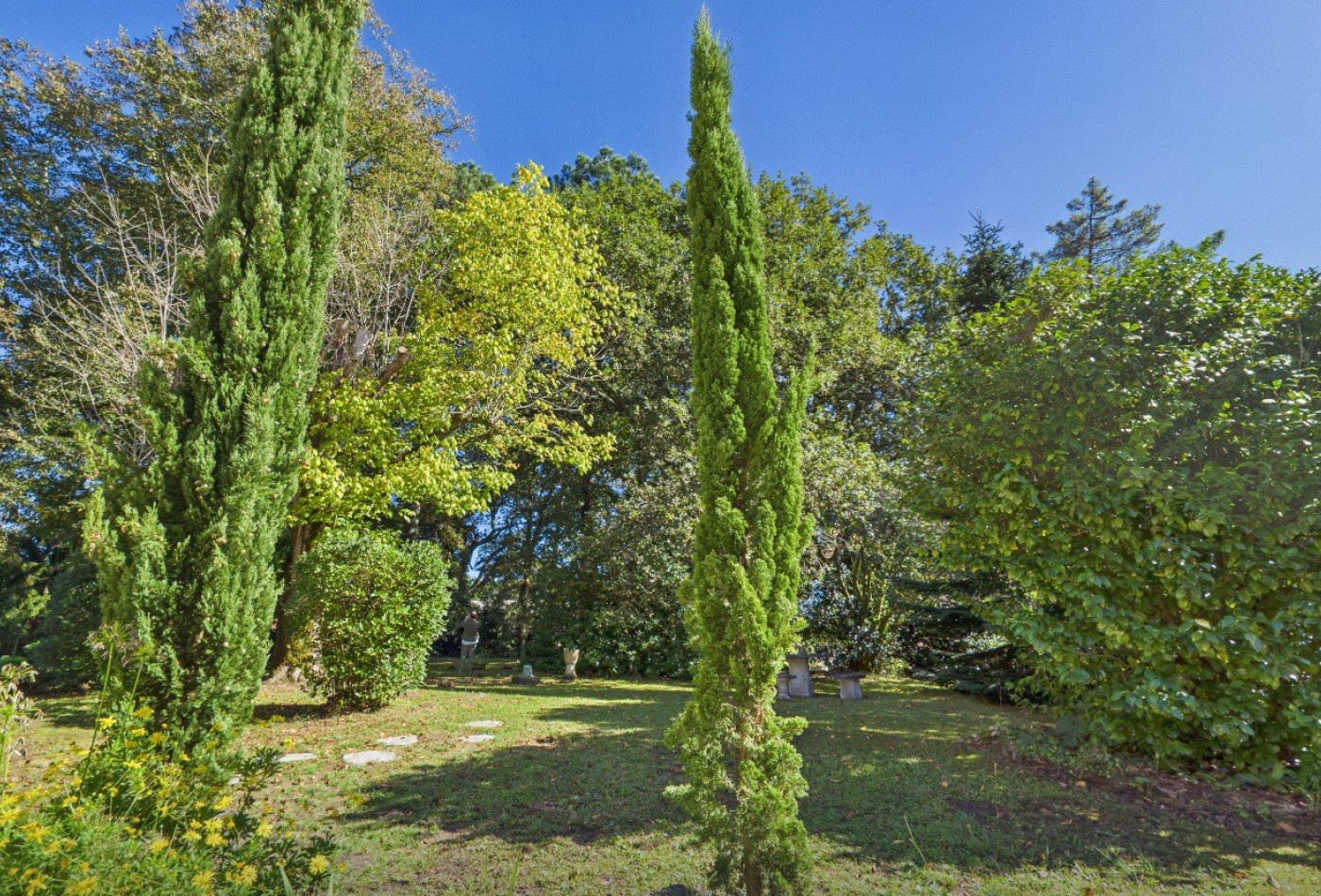 vente Propriété Soorts Hossegor - Photo 6