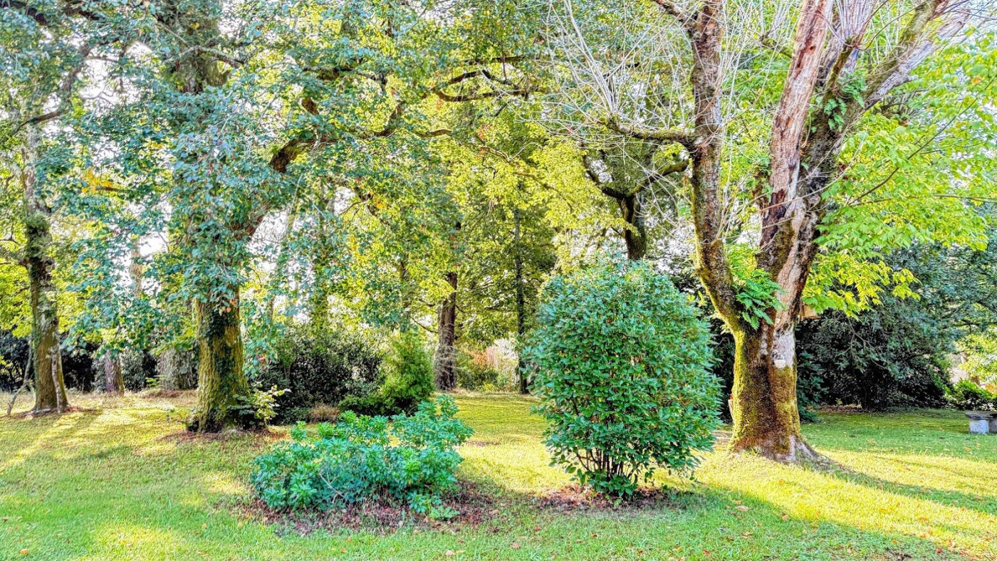 vente Propriété Soorts Hossegor - Photo 10