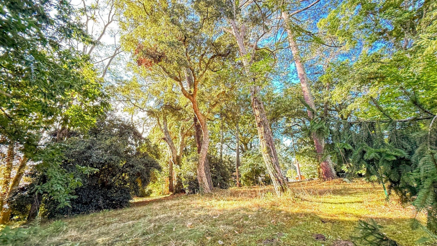 vente Propriété Soorts Hossegor - Photo 5