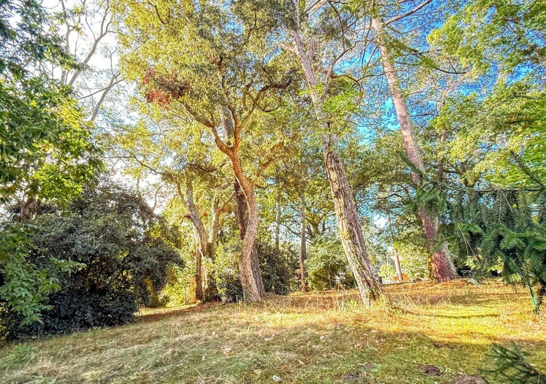 vente Propriété Soorts Hossegor