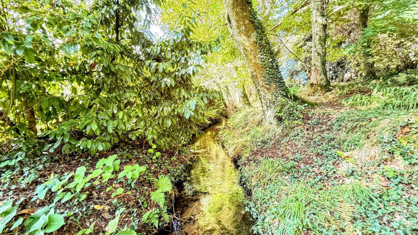 vente Propriété Soorts Hossegor - Photo 12