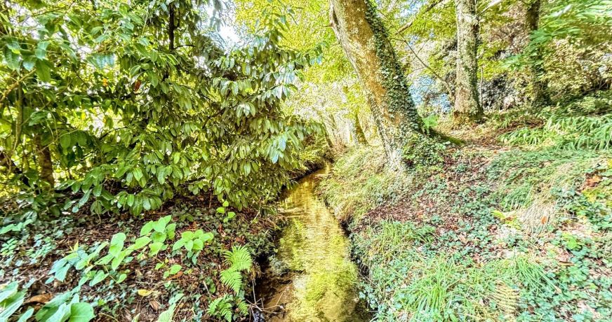 vente Propriété Soorts Hossegor