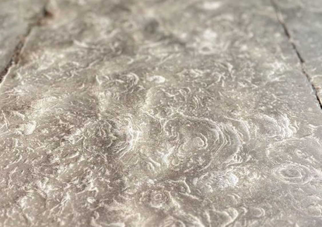 vente Propriété Bayonne