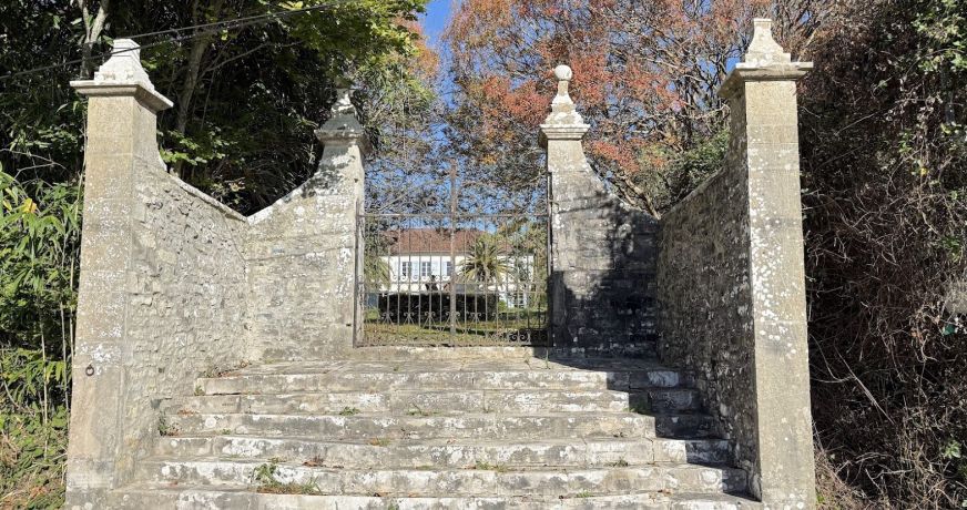 vente Propriété Peyrehorade