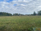 à vendre Terrain Tournous Devant