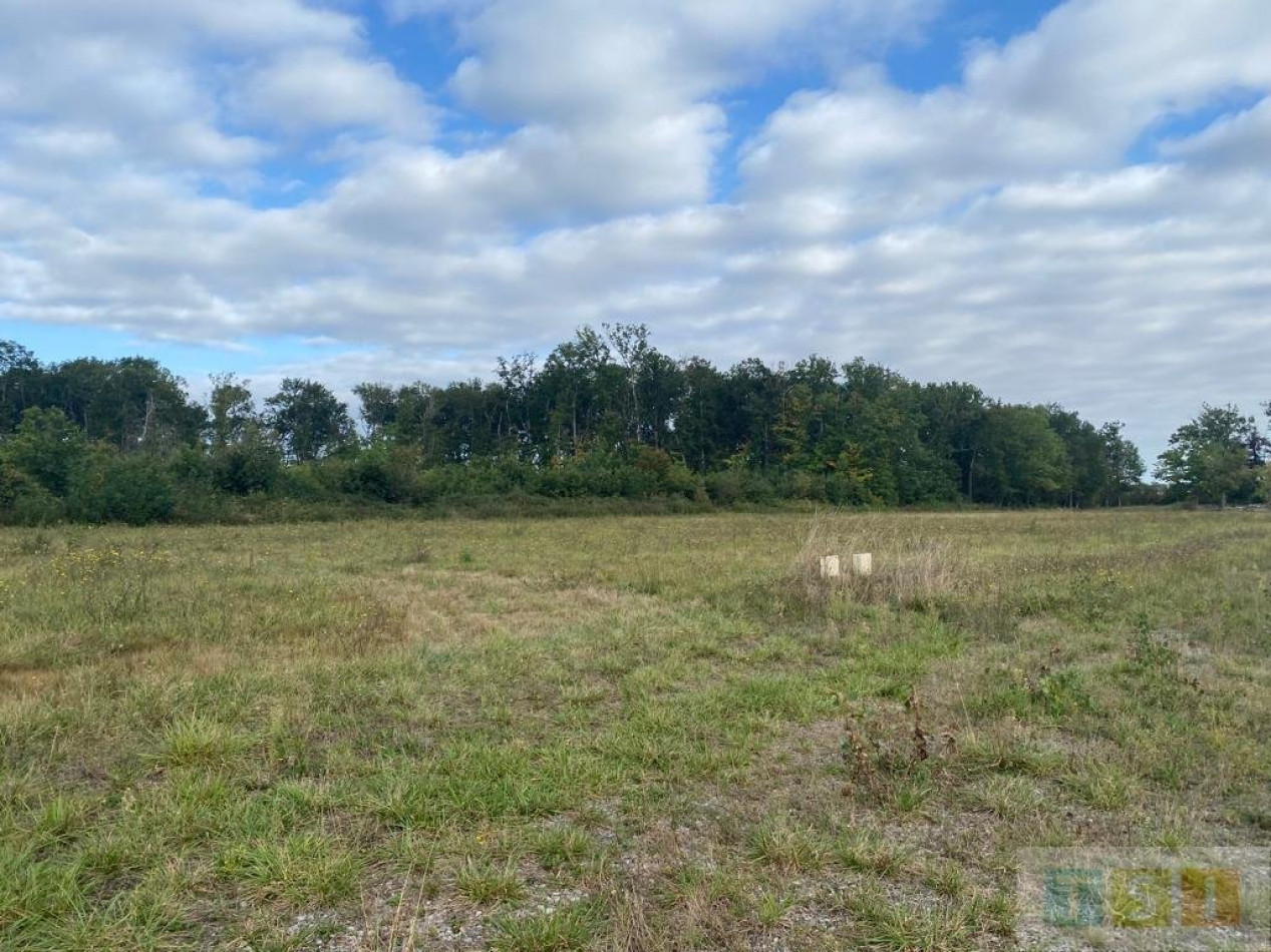 à vendre Terrain Tournous Devant - Photo 3