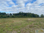 à vendre Terrain Tournous Devant