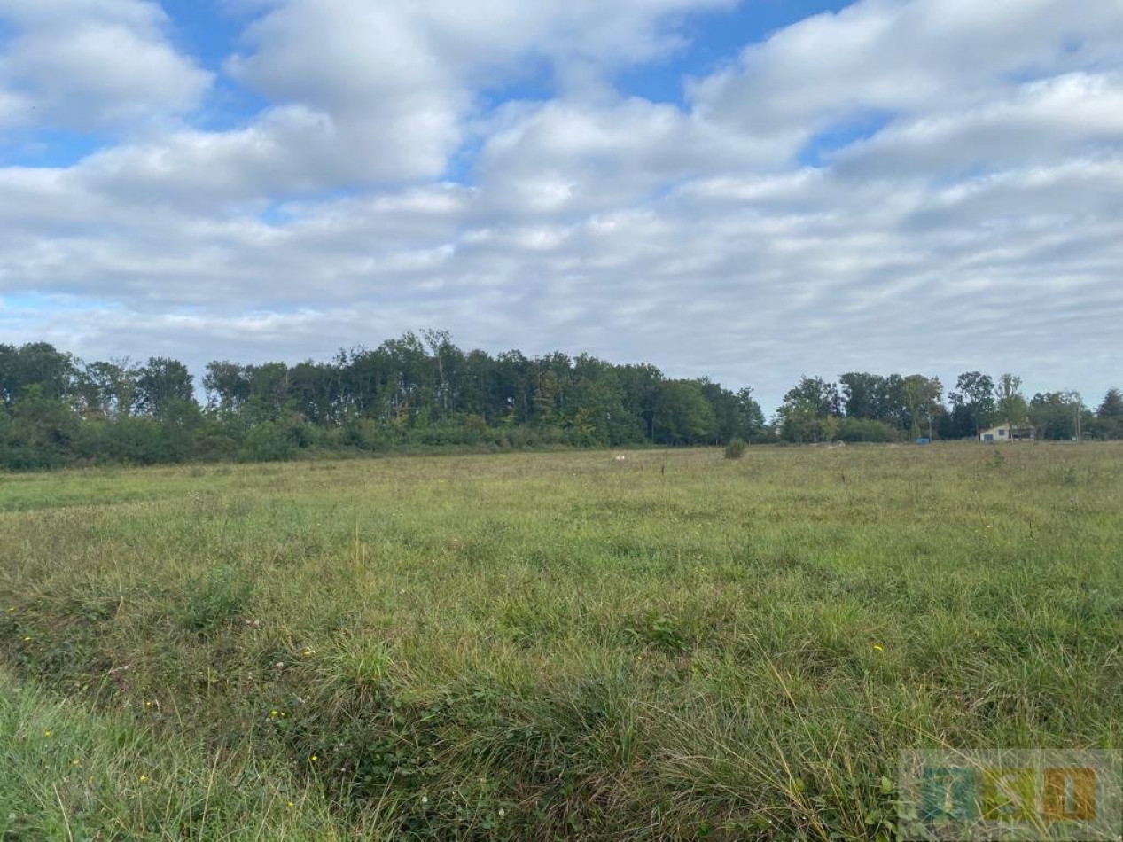 à vendre Terrain Tournous Devant - Photo 5