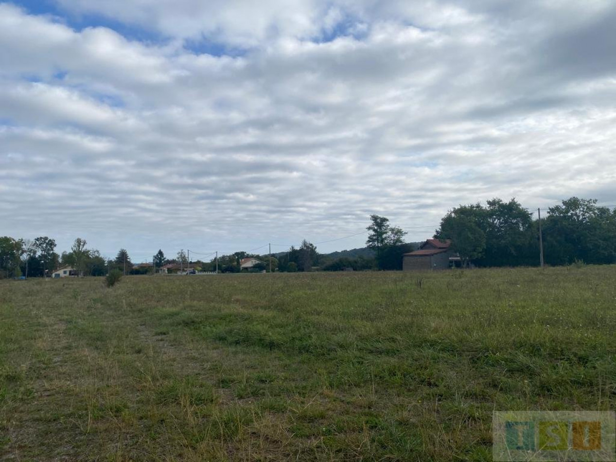 à vendre Terrain Tournous Devant - Photo 7