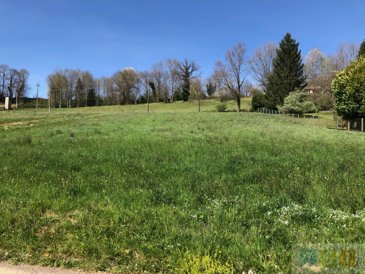 à vendre Terrain Escala - Photo 4