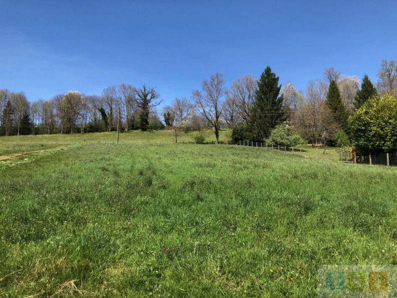 vente Terrain Escala - Photo 5