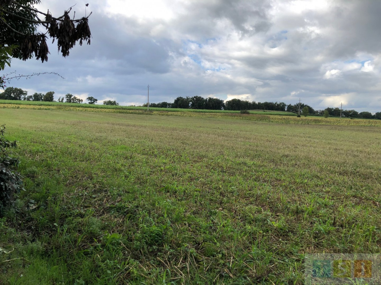 à vendre Maison Lannemezan - Photo 5