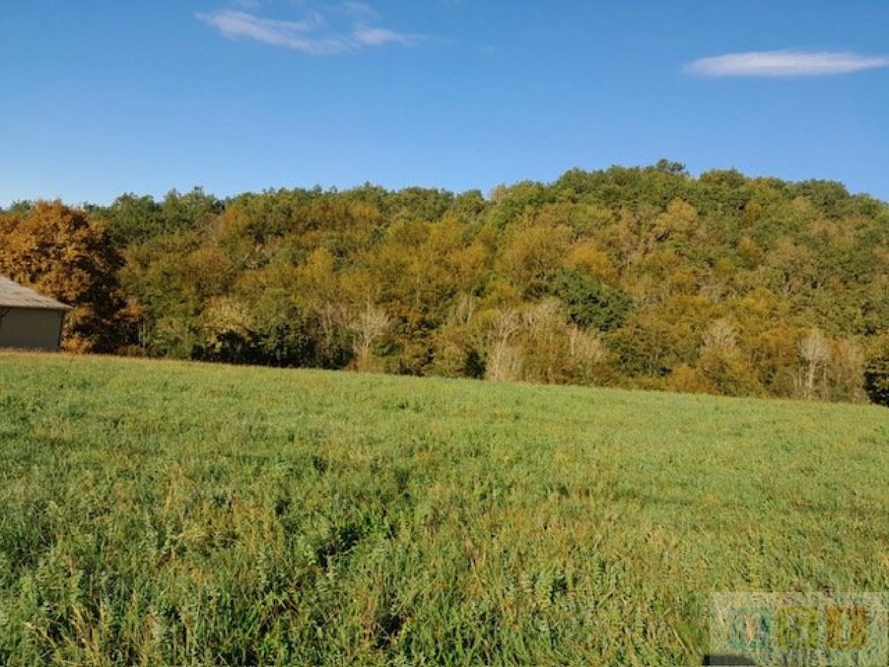 à vendre Terrain Benque - Photo 3