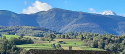 vente Terrain Benque