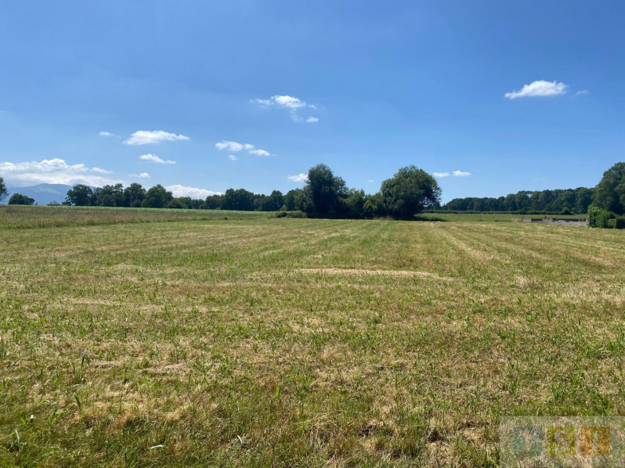 à vendre Terrain Avezac Prat Lahitte - Photo 2