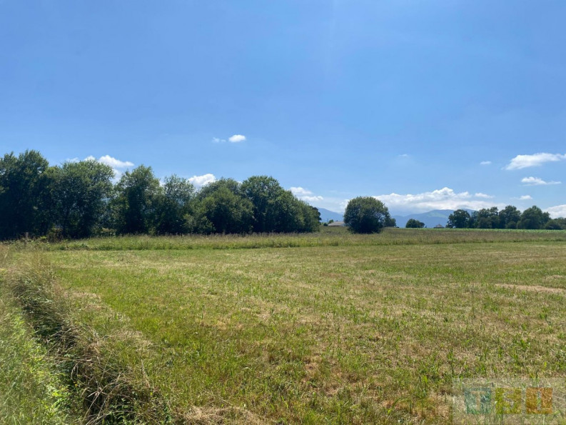 vente Terrain Avezac Prat Lahitte - Photo 3