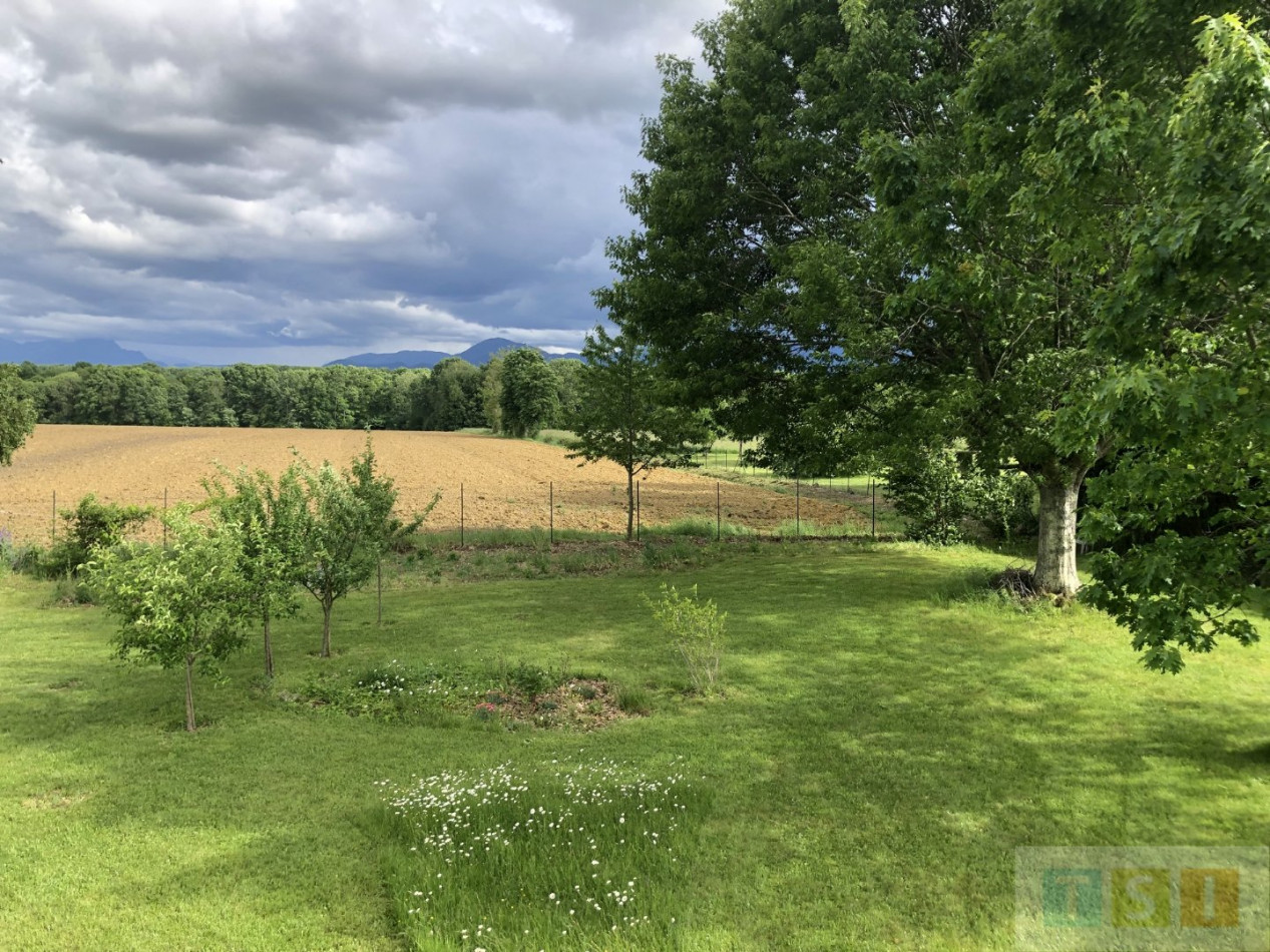 à vendre Maison Pinas - Photo 3