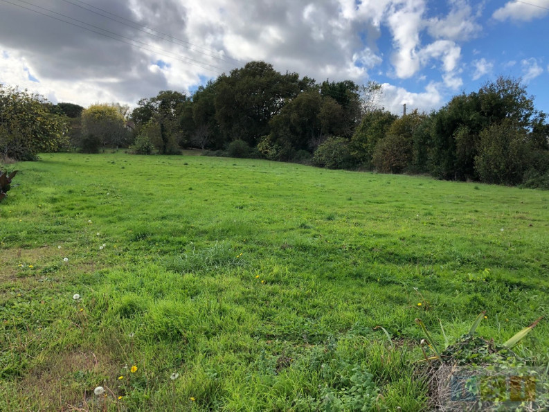 vente Maison Castelnau Magnoac - Photo 3