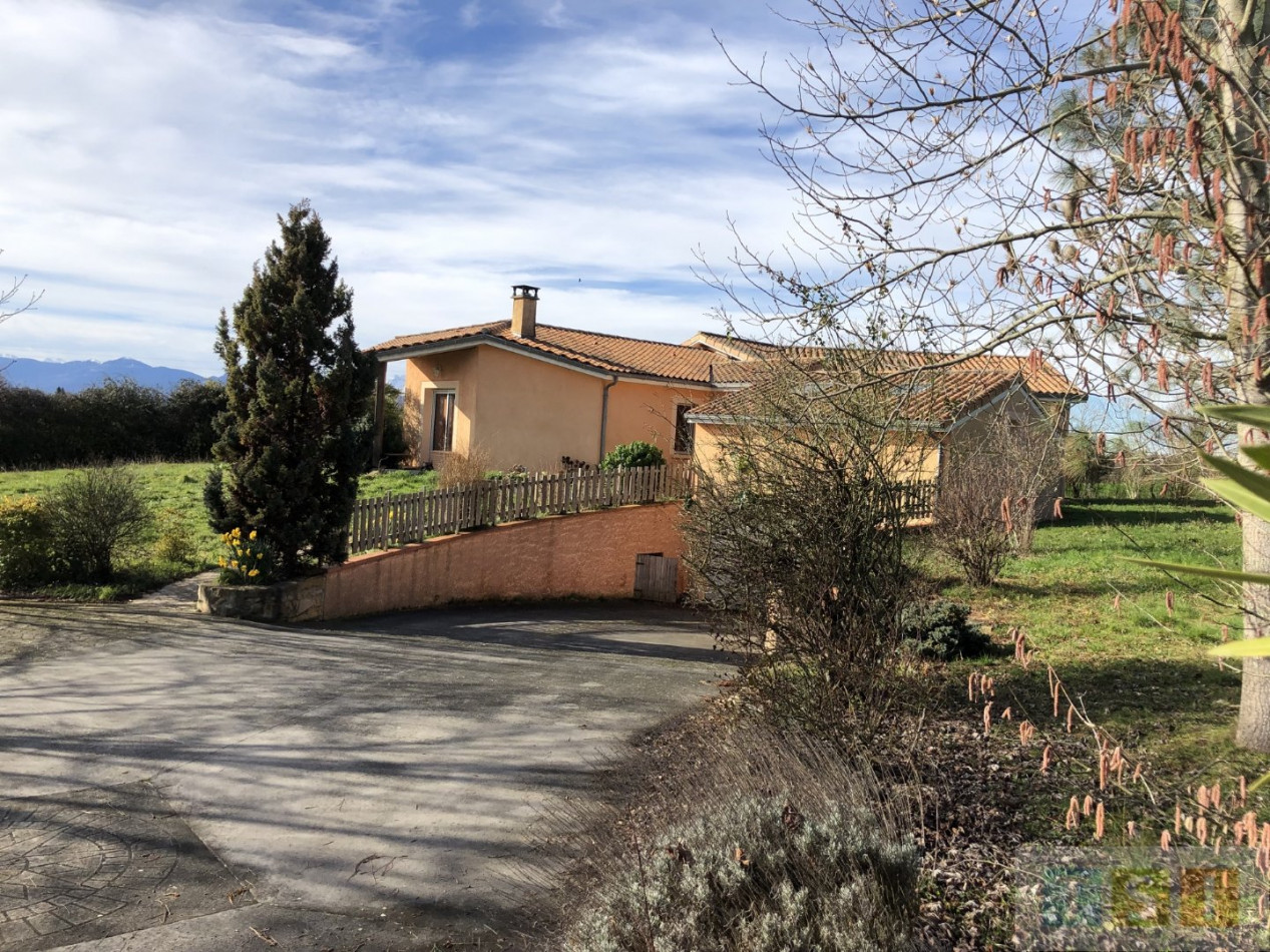 à vendre Maison Lecussan - Photo 2