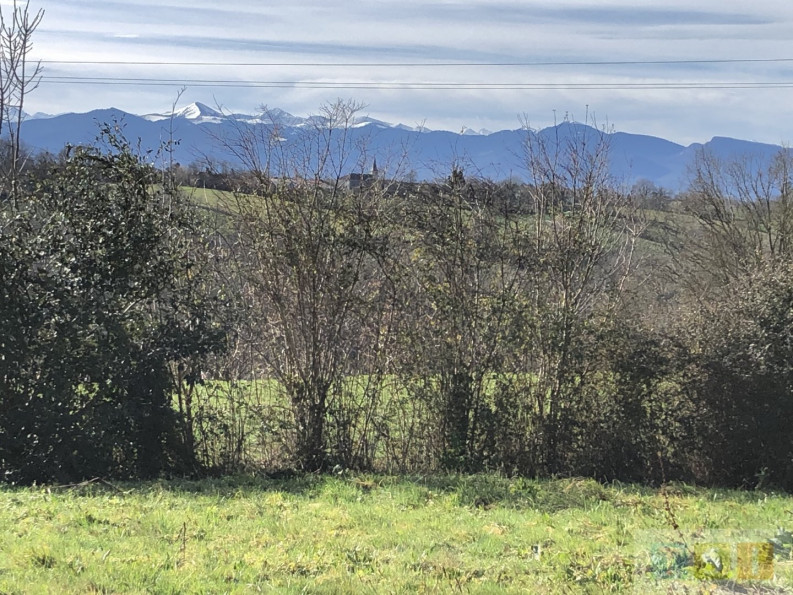 vente Maison Lecussan - Photo 4