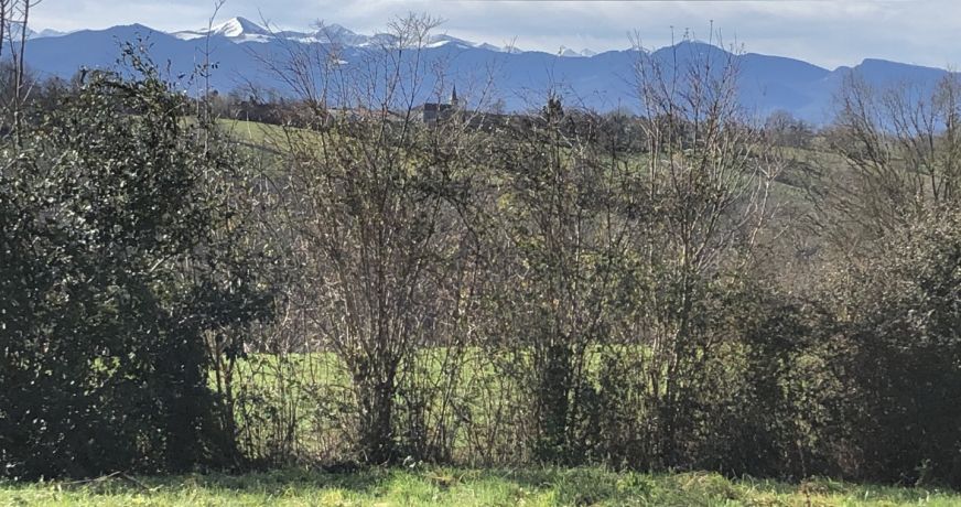 vente Maison Montrejeau