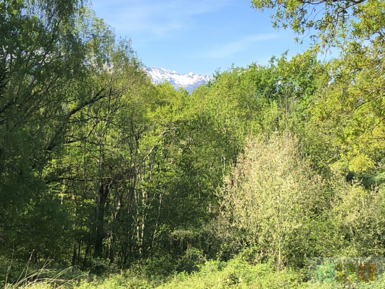 vente Maison Capvern - Photo 3