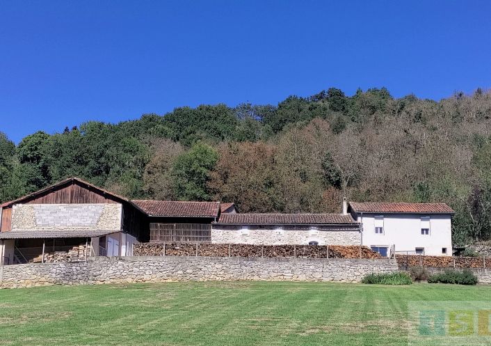à vendre Maison et dépendances Bize