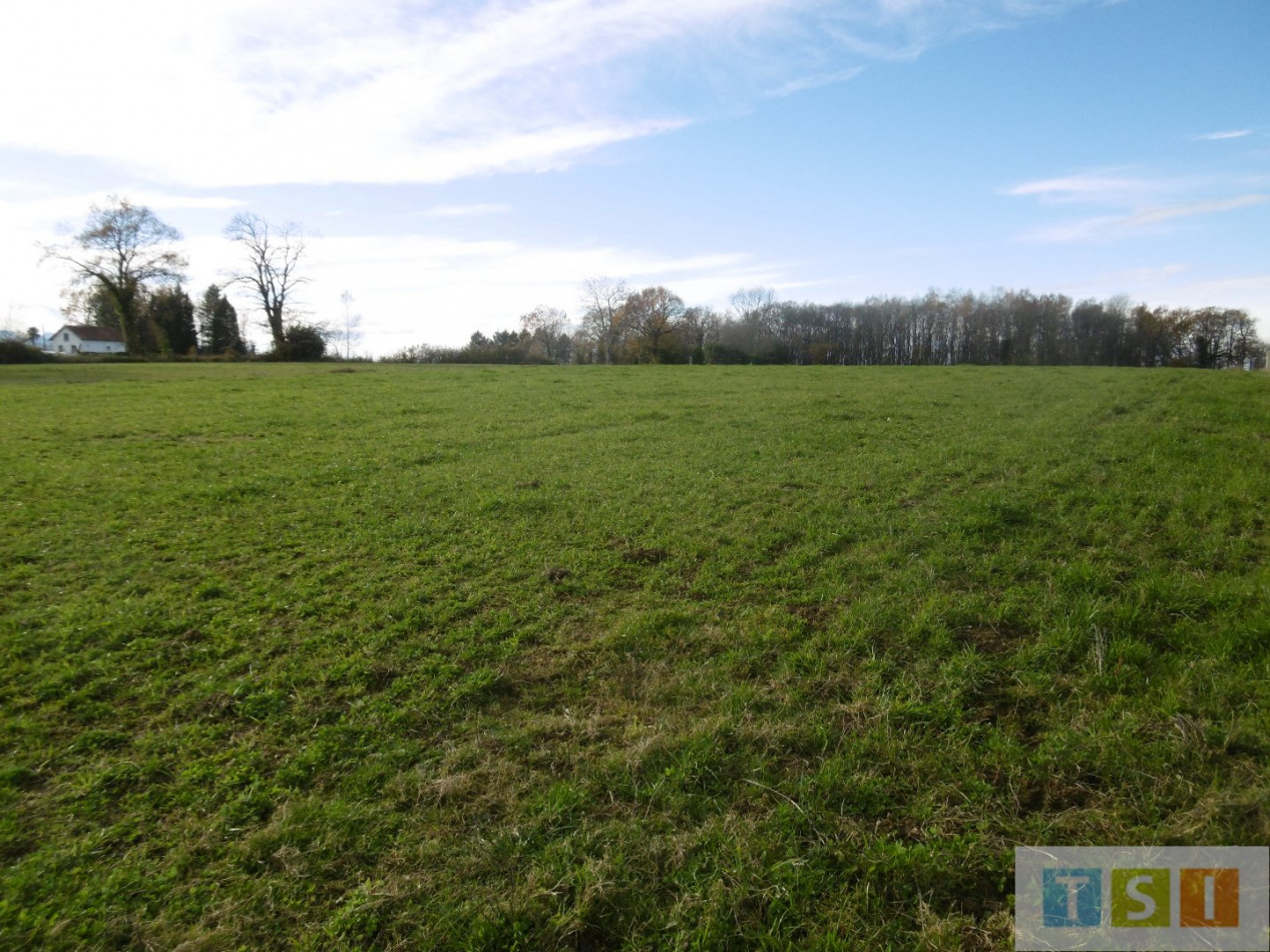 à vendre Terrain constructible Clarens - Photo 1