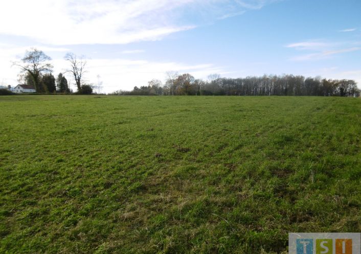 à vendre Terrain constructible Clarens
