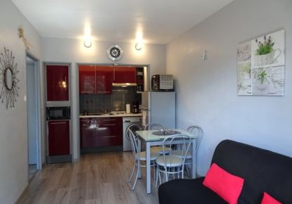 en location saisonnière Appartement Argeles Sur Mer