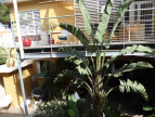 à vendre Maison Argeles Plage