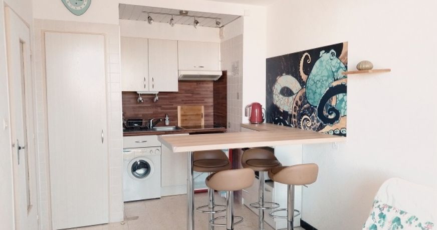 en location saisonnière Appartement Argeles Sur Mer