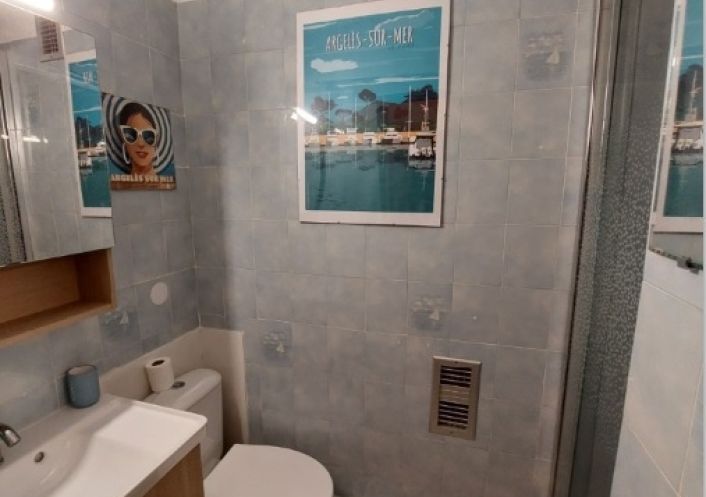 for seasonal lettings Appartement Argeles Sur Mer