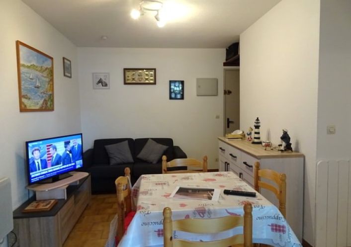for seasonal lettings Appartement Argeles Sur Mer