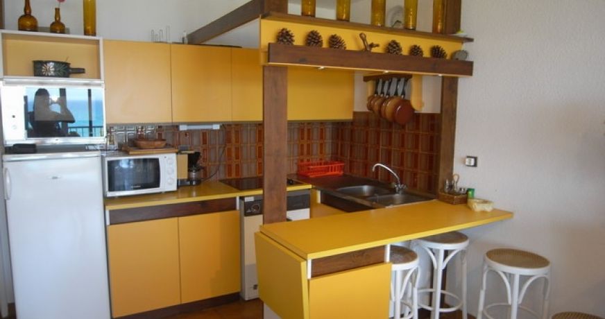 en location saisonnière Appartement Argeles Sur Mer