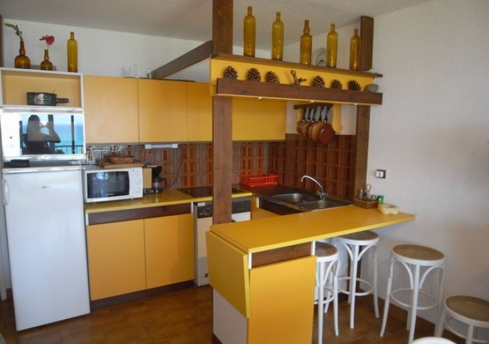 for seasonal lettings Appartement Argeles Sur Mer